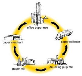 The cycle - how Local Paper works