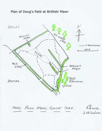 Plan of Doug's Field at Brithdir Mawr