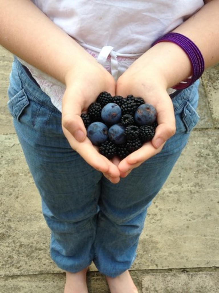 Blackberries and damsons